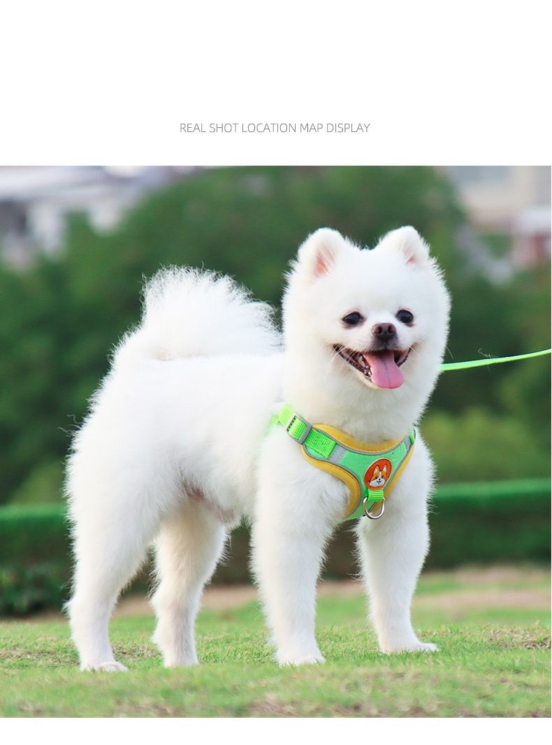 551295101