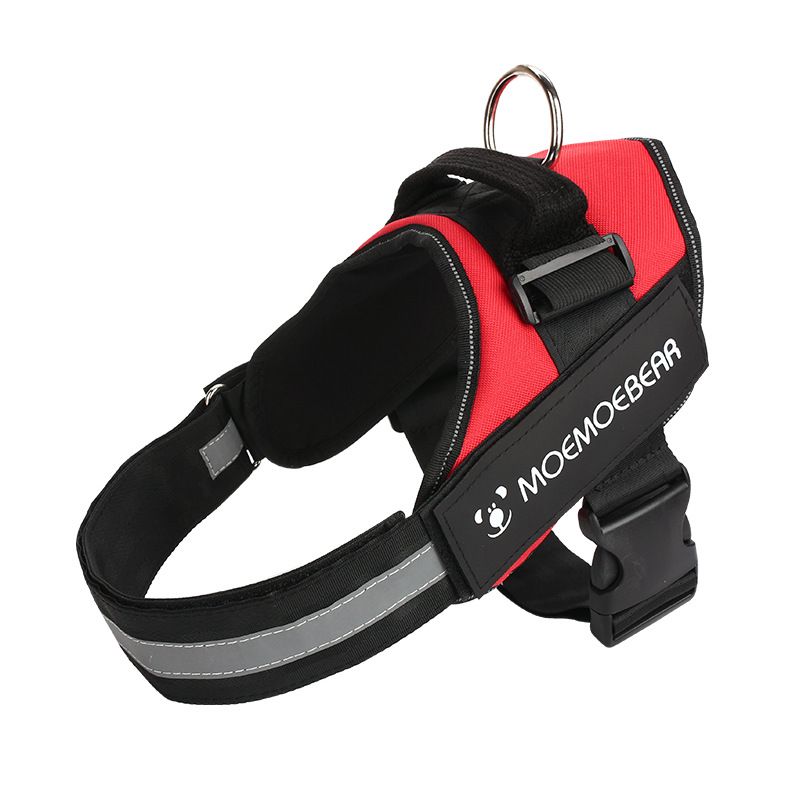 551281361